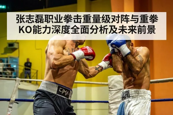 张志磊职业拳击重量级对阵与重拳KO能力深度全面分析及未来前景
